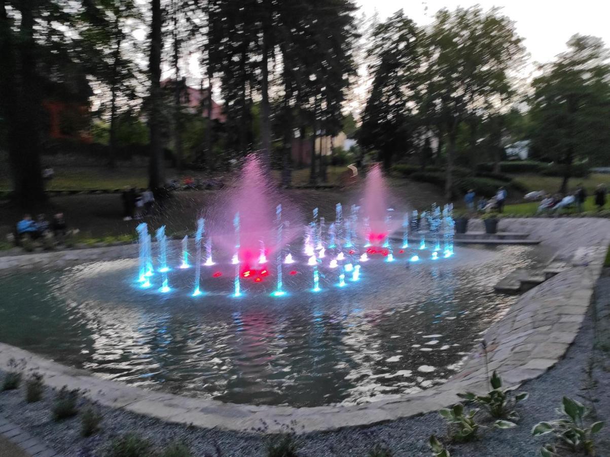 Apartament Pod Jalowcem Gory Sowie 533-543-732 Едлина-Здруй Экстерьер фото