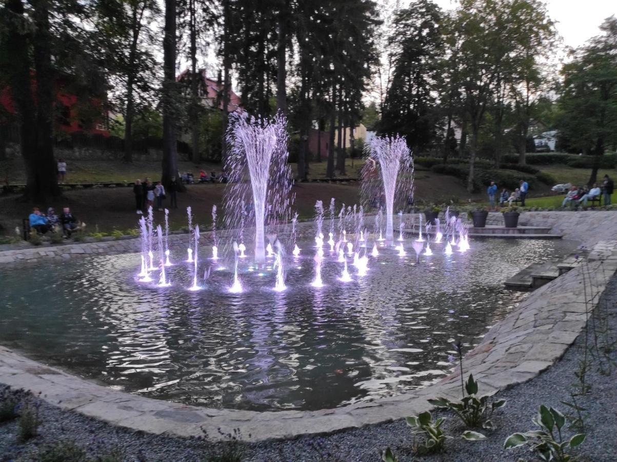 Apartament Pod Jalowcem Gory Sowie 533-543-732 Едлина-Здруй Экстерьер фото